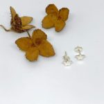 Chunky star studs